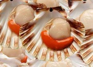 Морские гребешки рецепты